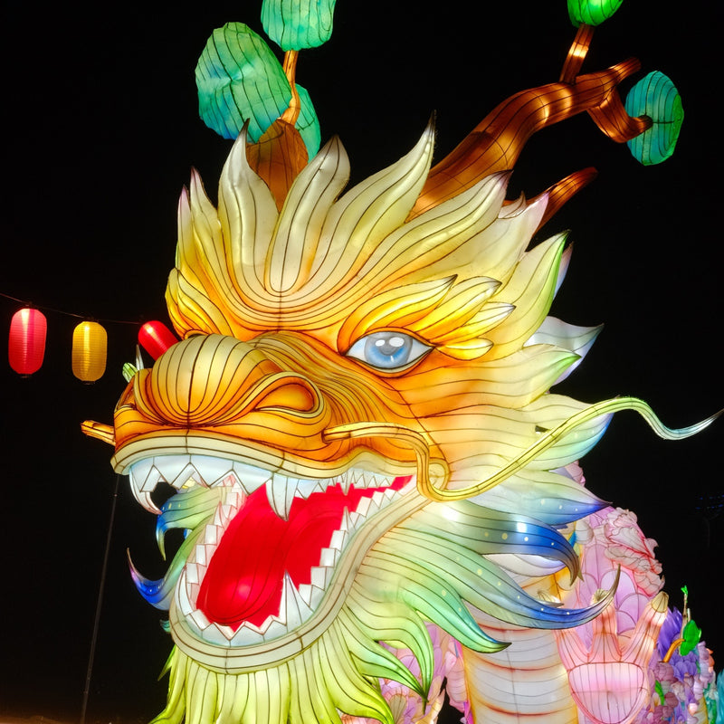 dragon lantern after dark