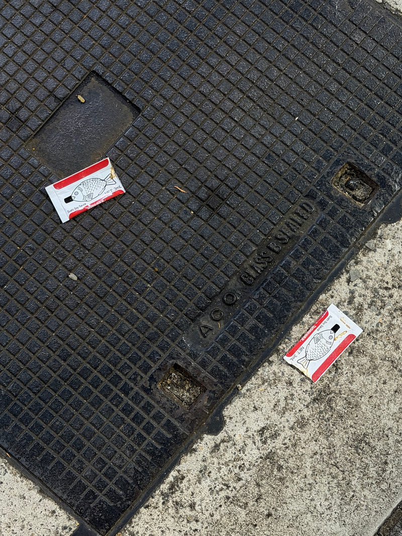 two fish on the street